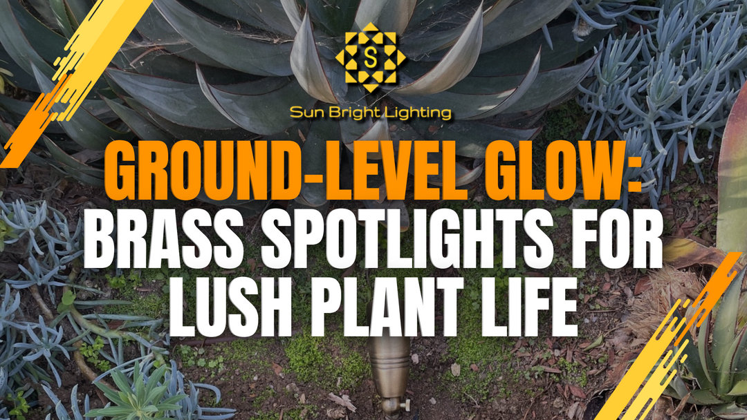 SPB06 Spotlights Elevate Ground-Level Greenery