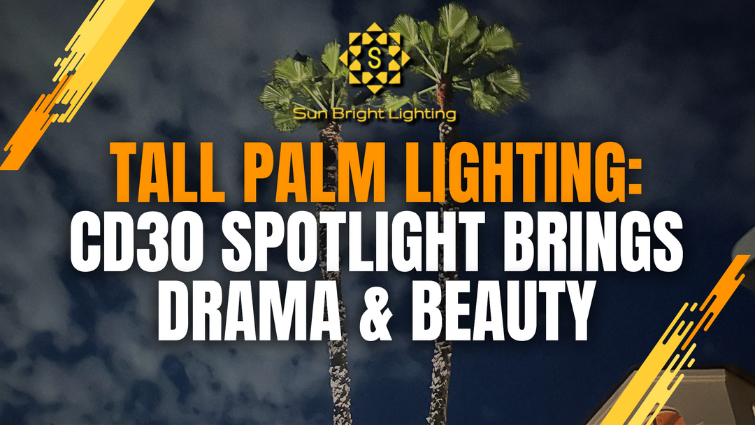 Illuminate Tall Palms with the CD30 Aluminum Tree Spotlight for Stunning Nighttime Appeal