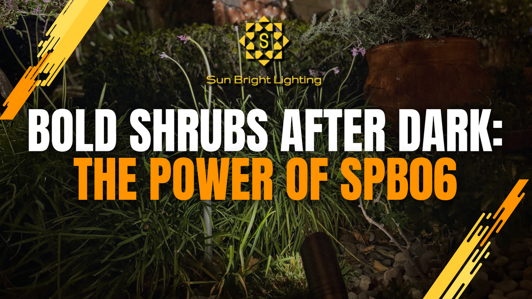 Subtle Power: SPB06 Spotlight Makes Shrubs Stand Out