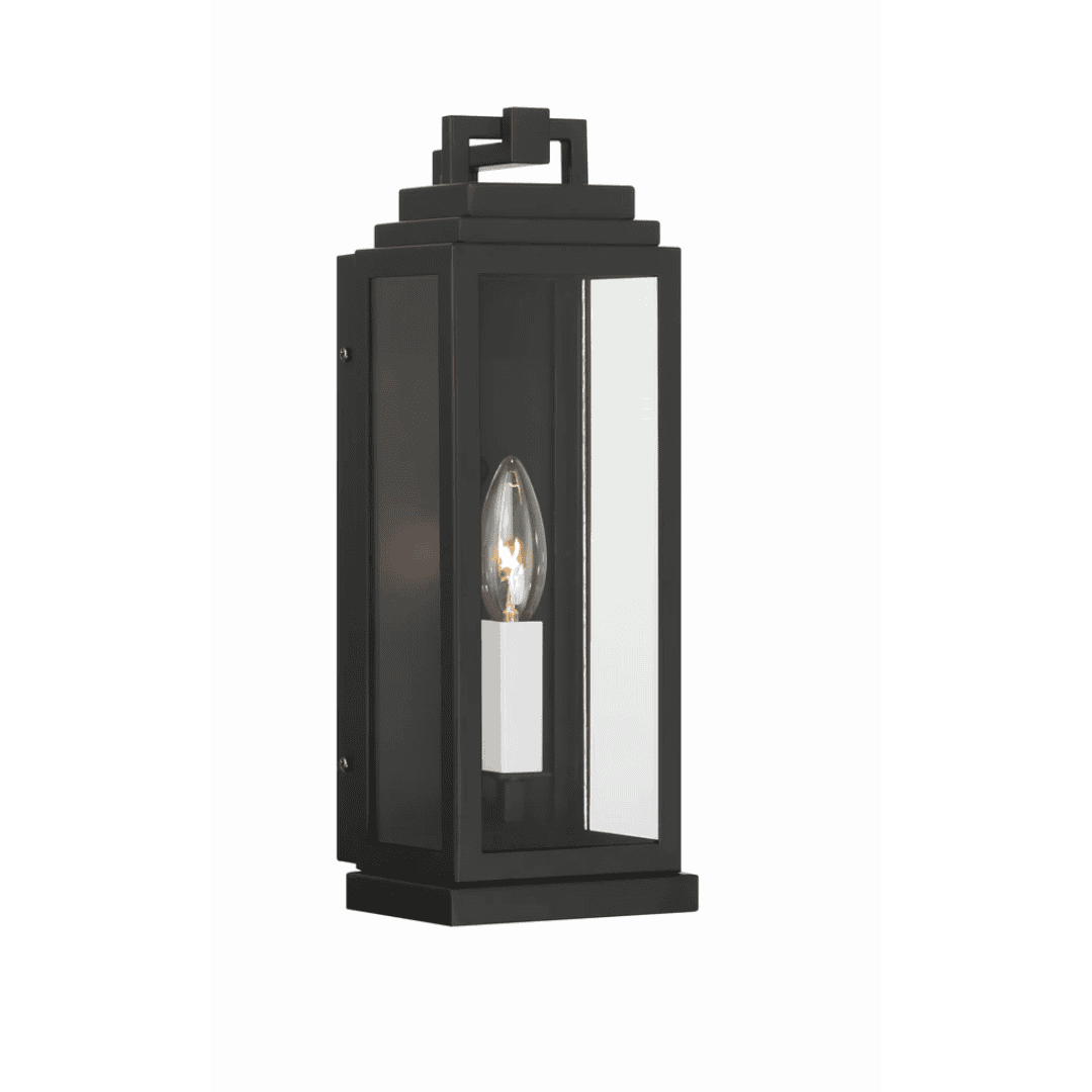 Outdoor Landscape Lighting LED 12V Low Voltage Aspen 1 Light Outdoor Sconce 5"x14" Stainless Steel and Clear Glass Matte Black Finish 120V 1 E12 Candelabra Base LED Bulb Socket for Patio, Garden, Exterior Walls