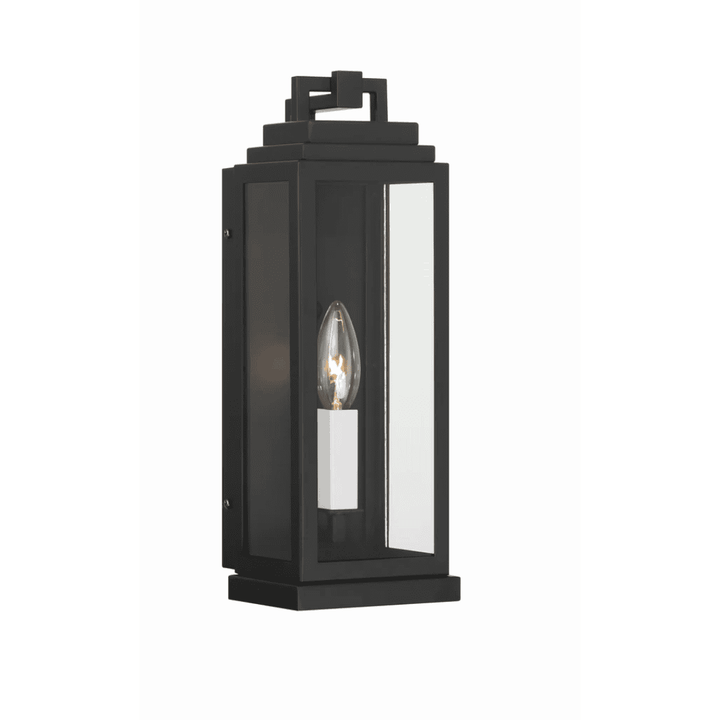 Outdoor Landscape Lighting LED 12V Low Voltage Aspen 1 Light Outdoor Sconce 5"x14" Stainless Steel and Clear Glass Matte Black Finish 120V 1 E12 Candelabra Base LED Bulb Socket for Patio, Garden, Exterior Walls