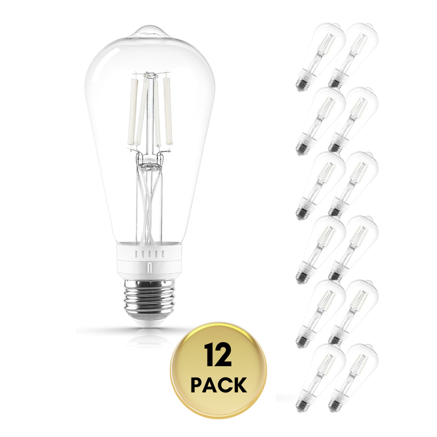 Outdoor Landscape Lighting LED 12V Low Voltage E26 ST19 4.5W Filament 12-Pack 120V Line Voltage 5CCT 2700K/3000K/3500K/4000K/5000K Bulbs Package Dimmable CRI90 Energy Saving High Voltage Medium Base Light Bulb