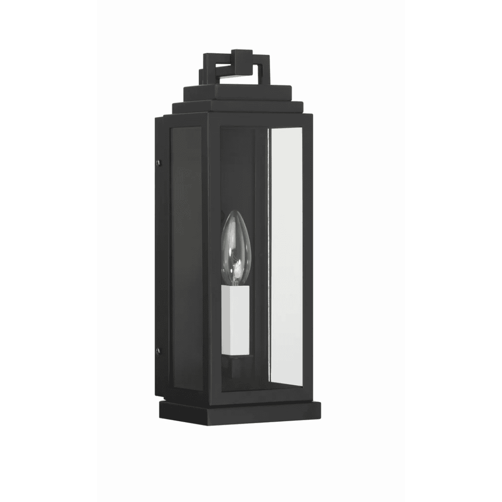 Outdoor Landscape Lighting LED 12V Low Voltage Aspen 1 Light Outdoor Sconce 5"x14" Stainless Steel and Clear Glass Matte Black Finish 120V 1 E12 Candelabra Base LED Bulb Socket for Patio, Garden, Exterior Walls