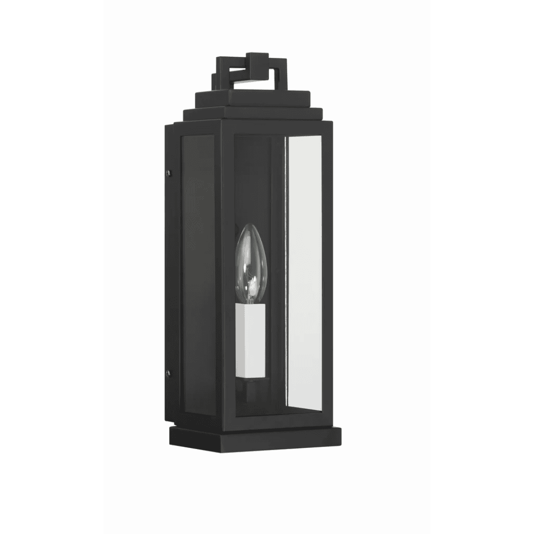 Outdoor Landscape Lighting LED 12V Low Voltage Aspen 1 Light Outdoor Sconce 5"x14" Stainless Steel and Clear Glass Matte Black Finish 120V 1 E12 Candelabra Base LED Bulb Socket for Patio, Garden, Exterior Walls