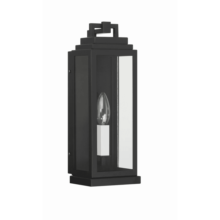 Outdoor Landscape Lighting LED 12V Low Voltage Aspen 1 Light Outdoor Sconce 5"x14" Stainless Steel and Clear Glass Matte Black Finish 120V 1 E12 Candelabra Base LED Bulb Socket for Patio, Garden, Exterior Walls
