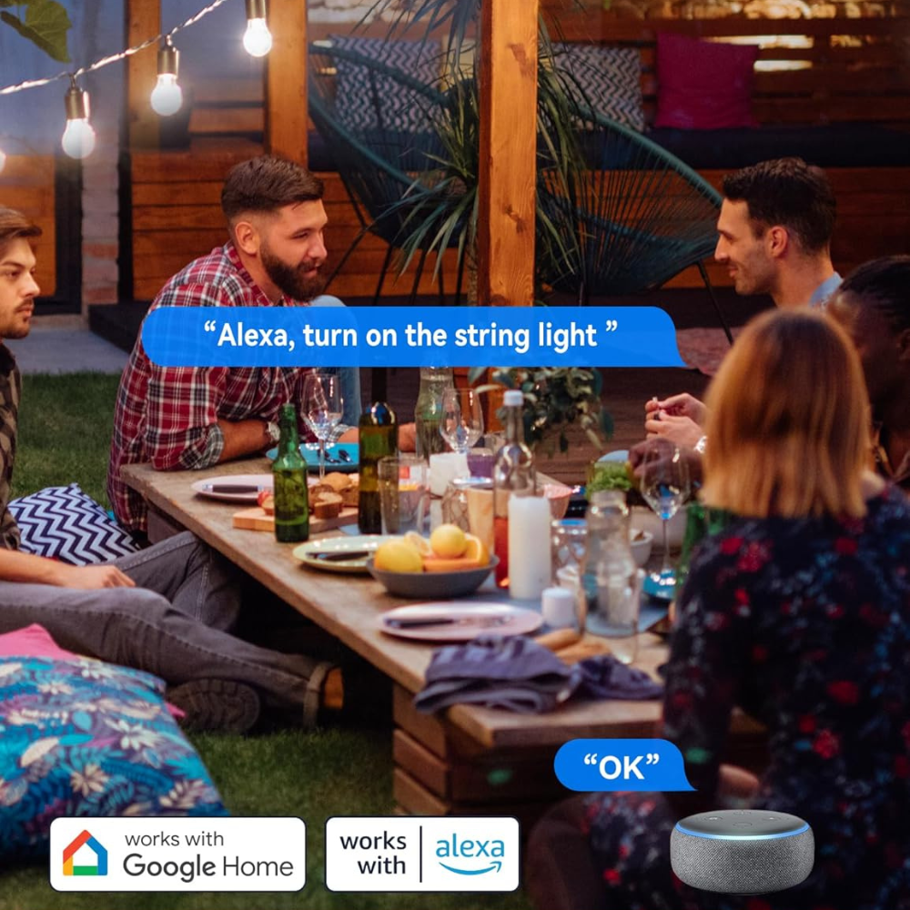 Outdoor Landscape Lighting LED 12V Low Voltage Outdoor Smart Plug 15A Wi-Fi Outlet Timer Compatible with Alexa and Google Assistant IP66 Waterproof