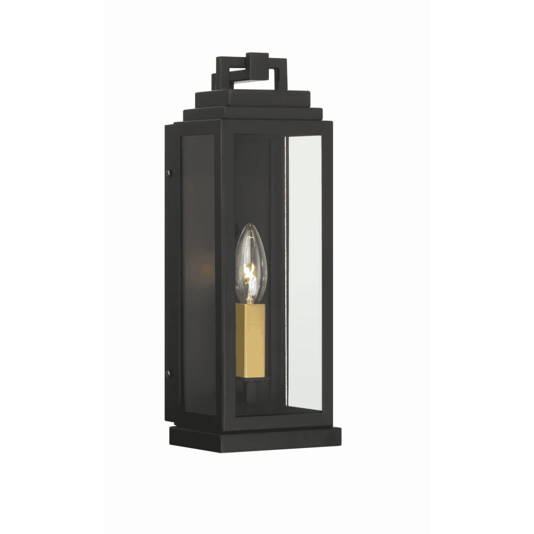 Outdoor Landscape Lighting LED 12V Low Voltage Aspen 1 Light Outdoor Sconce 5"x14" Stainless Steel and Clear Glass Matte Black Finish 120V 1 E12 Candelabra Base LED Bulb Socket for Patio, Garden, Exterior Walls