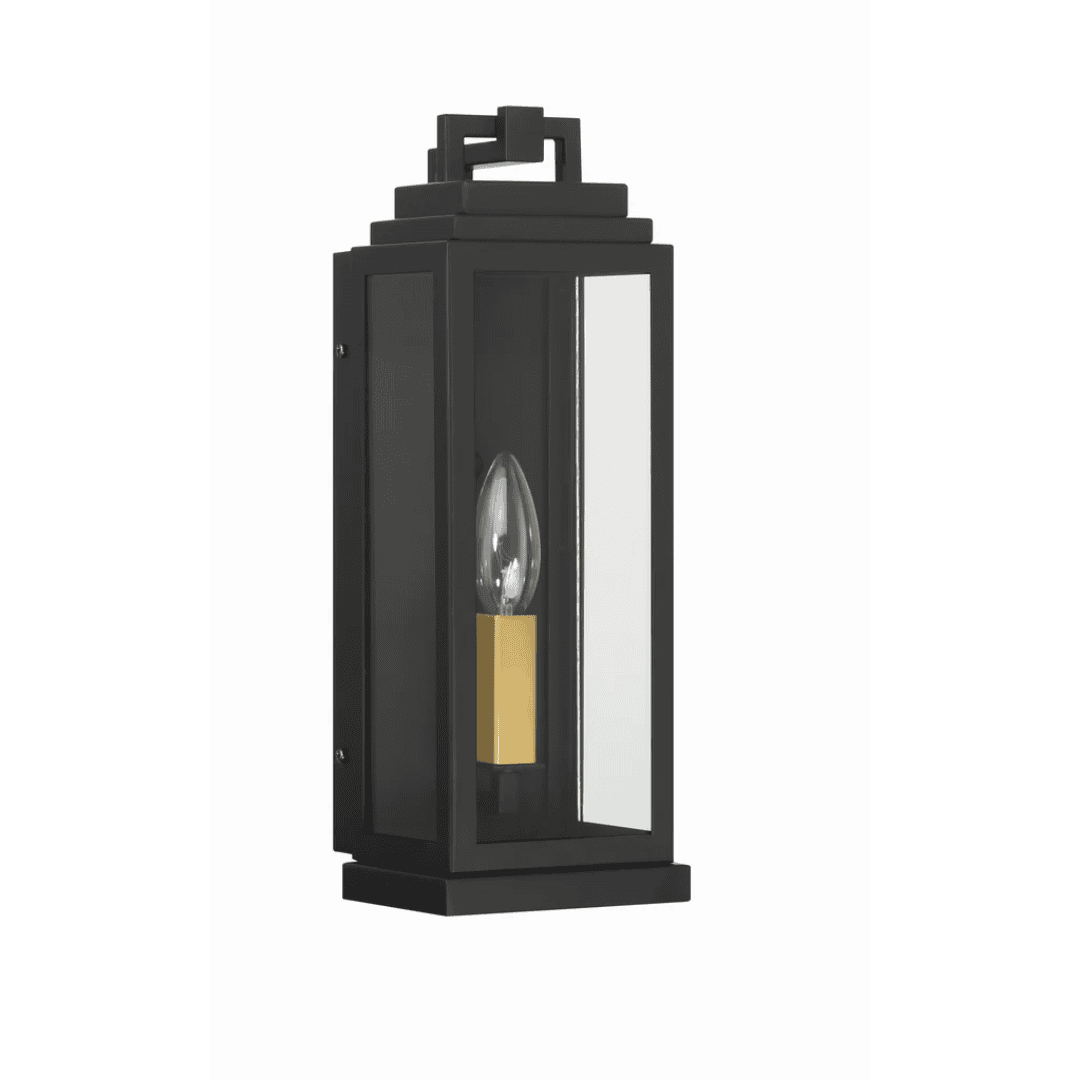 Outdoor Landscape Lighting LED 12V Low Voltage Aspen 1 Light Outdoor Sconce 5"x14" Stainless Steel and Clear Glass Matte Black Finish 120V 1 E12 Candelabra Base LED Bulb Socket for Patio, Garden, Exterior Walls