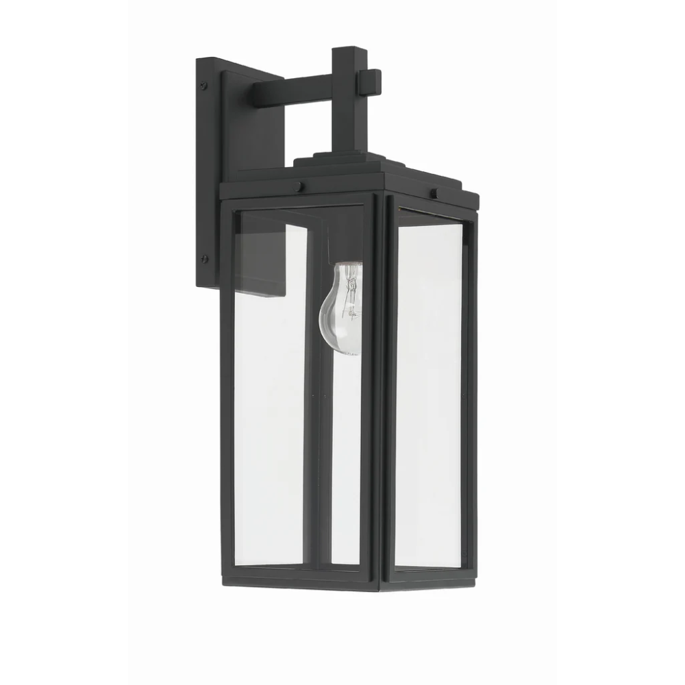 Outdoor Landscape Lighting LED 12V Low Voltage Byron 1 Light Outdoor Sconce 6.5"x17" Stainless Steel and Clear Glass Matte Black Finish 120V 1 E26 Medium Base LED Bulb Socket for Patio, Garden, Exterior Walls
