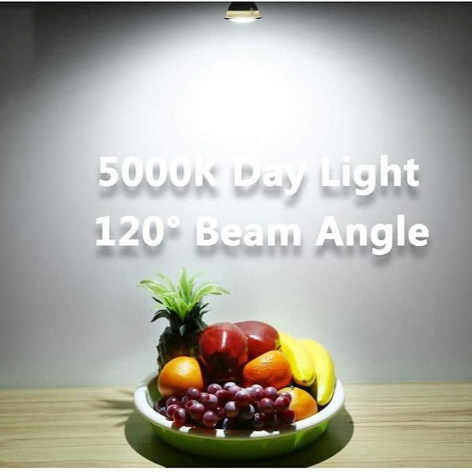 Outdoor Landscape Lighting LED 12V Low Voltage 6-Pack MR16 5W 120V GU5.3 LED Bulbs Dimmable Energy Saving Light 120 Degree Beam Angle Line Voltage