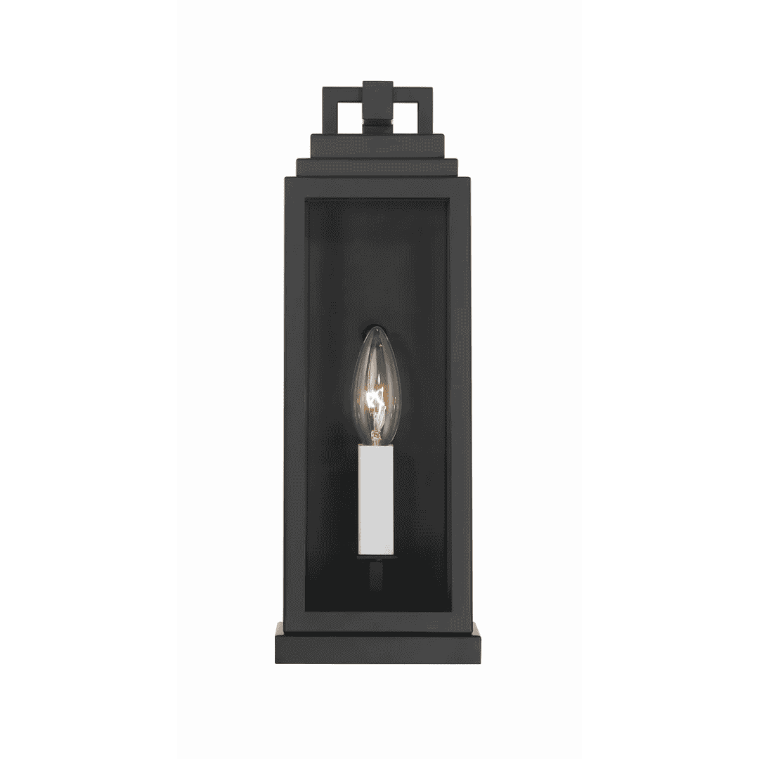 Outdoor Landscape Lighting LED 12V Low Voltage Aspen 1 Light Outdoor Sconce 5"x14" Stainless Steel and Clear Glass Matte Black Finish 120V 1 E12 Candelabra Base LED Bulb Socket for Patio, Garden, Exterior Walls