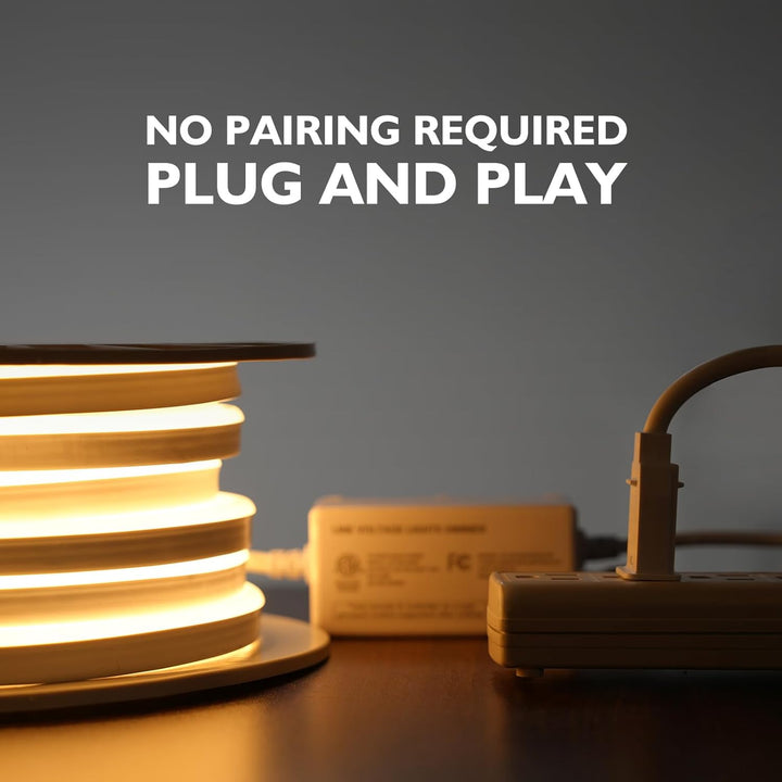 Outdoor Landscape Lighting LED 12V Low Voltage Line Voltage 110V Lights Dimmer Controller for LED Rope Light Wireless Dimmer RF Remote and Controller with Memory Function