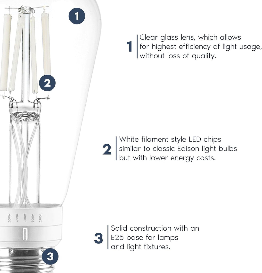 Outdoor Landscape Lighting LED 12V Low Voltage E26 ST19 4.5W Filament 12-Pack 120V Line Voltage 5CCT 2700K/3000K/3500K/4000K/5000K Bulbs Package Dimmable CRI90 Energy Saving High Voltage Medium Base Light Bulb