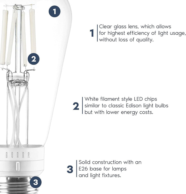 Outdoor Landscape Lighting LED 12V Low Voltage E26 ST19 4.5W Filament 12-Pack 120V Line Voltage 5CCT 2700K/3000K/3500K/4000K/5000K Bulbs Package Dimmable CRI90 Energy Saving High Voltage Medium Base Light Bulb