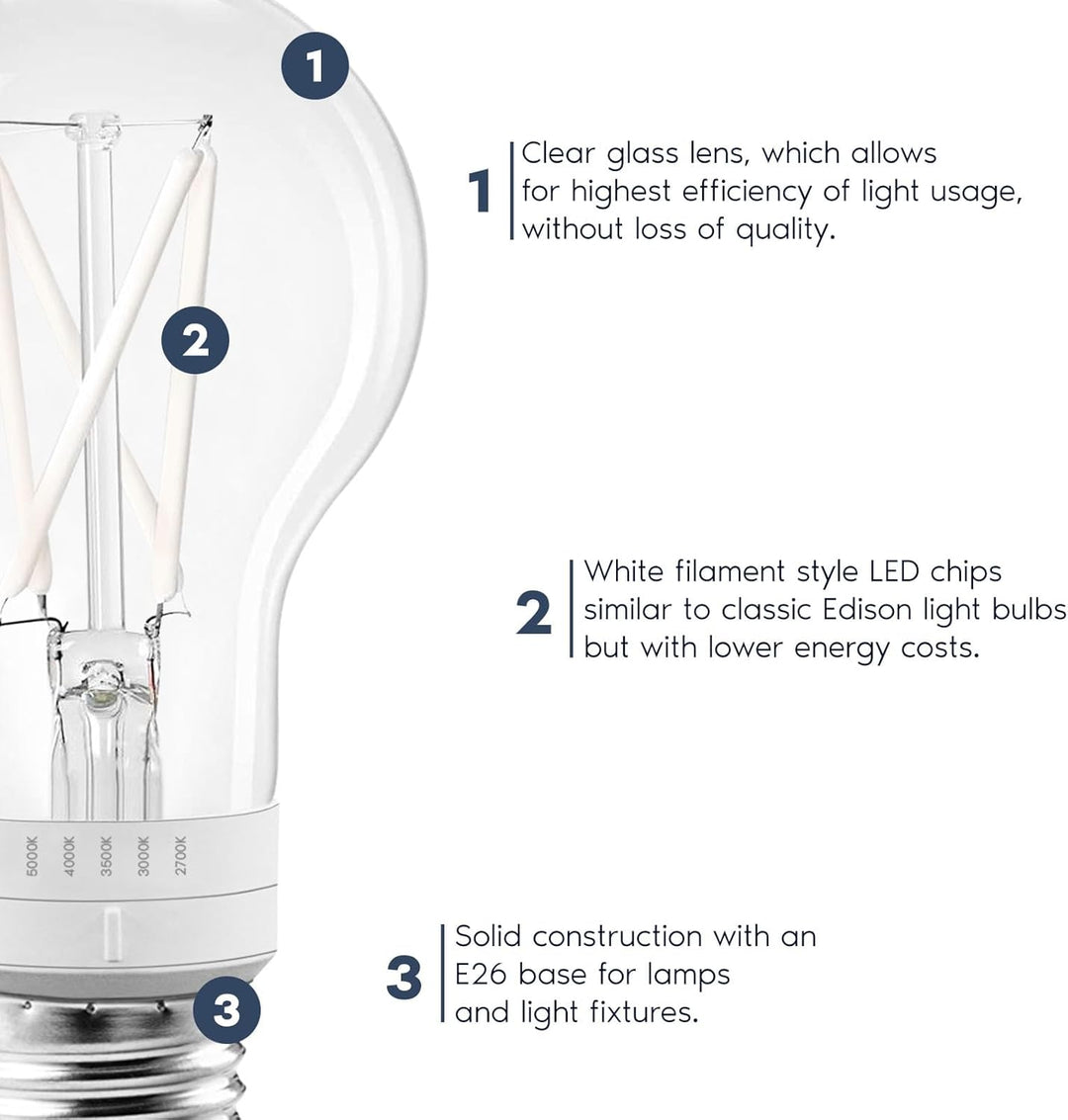 Outdoor Landscape Lighting LED 12V Low Voltage E26 A19 7W Filament 120V Line Voltage 5CCT 2700K/3000K/3500K/4000K/5000K Bulbs Package Dimmable CRI90 Energy Saving High Voltage Medium Base Light Bulb
