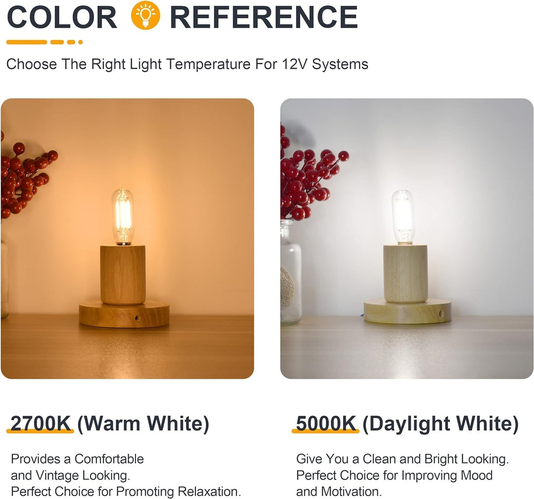 Outdoor Landscape Lighting LED 12V Low Voltage E12 4W Filament 12V AC/DC Candelabra and Small Base Package Low Voltage LED Light Bulbs Dimmable Energy Saving Light Bulb