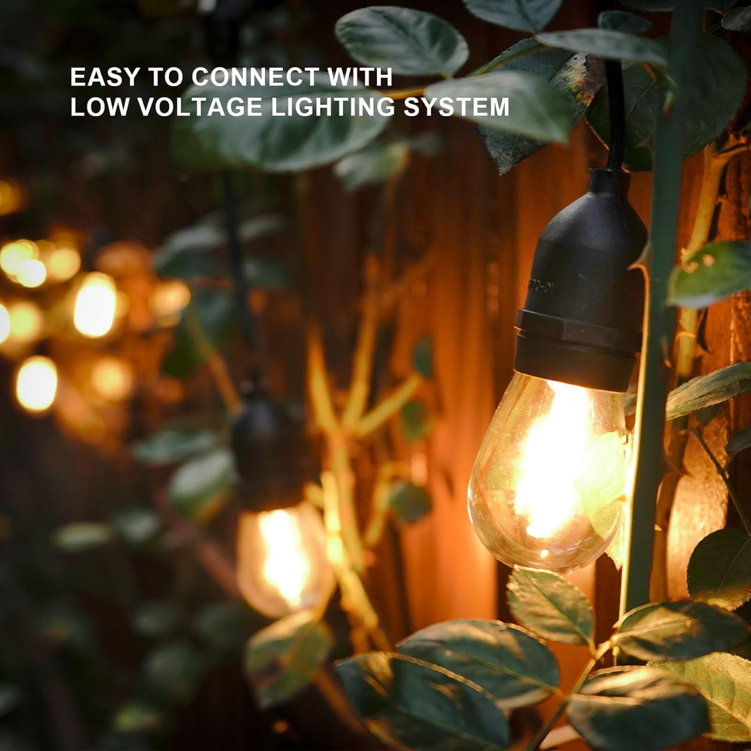 Outdoor Landscape Lighting LED 12V Low Voltage SL103 2800K Warm White LED Low Voltage Bistro String Lights 50 FT Outdoor Weatherproof 10pcs Connect Anywhere 12V Edison Bulbs