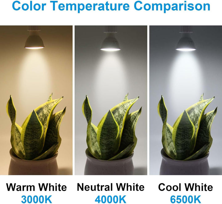 Outdoor Landscape Lighting LED 12V Low Voltage MR16 6-Pack 5W/7W 120° Flood Beam Angle Low Voltage 12V-24V LED Bulbs Package Energy Saving Waterproof Light CE & RoHS Certified