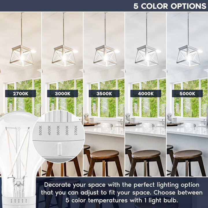 Outdoor Landscape Lighting LED 12V Low Voltage E26 A19 7W Filament 120V Line Voltage 5CCT 2700K/3000K/3500K/4000K/5000K Bulbs Package Dimmable CRI90 Energy Saving High Voltage Medium Base Light Bulb
