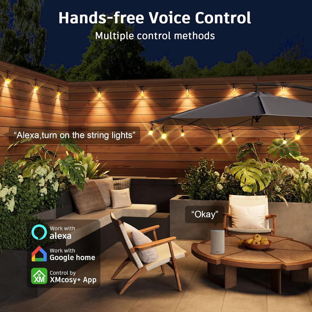 Outdoor Landscape Lighting LED 12V Low Voltage SLR103 LED RGBWIC Smart Bistro Acrylic String Lights Color Changing Outdoor Weatherproof 24V Edison Bulbs