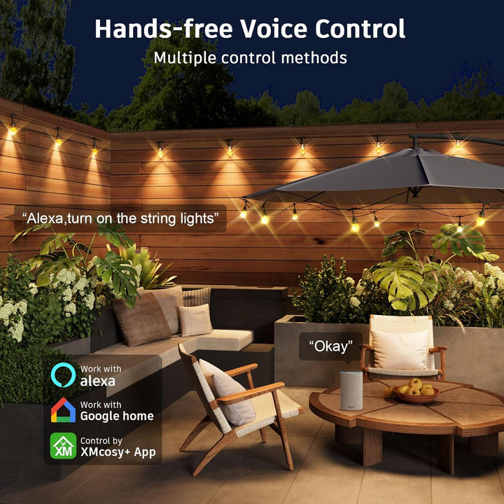 Outdoor Landscape Lighting LED 12V Low Voltage SLR103 LED RGBWIC Smart Bistro Acrylic String Lights Color Changing Outdoor Weatherproof 24V Edison Bulbs