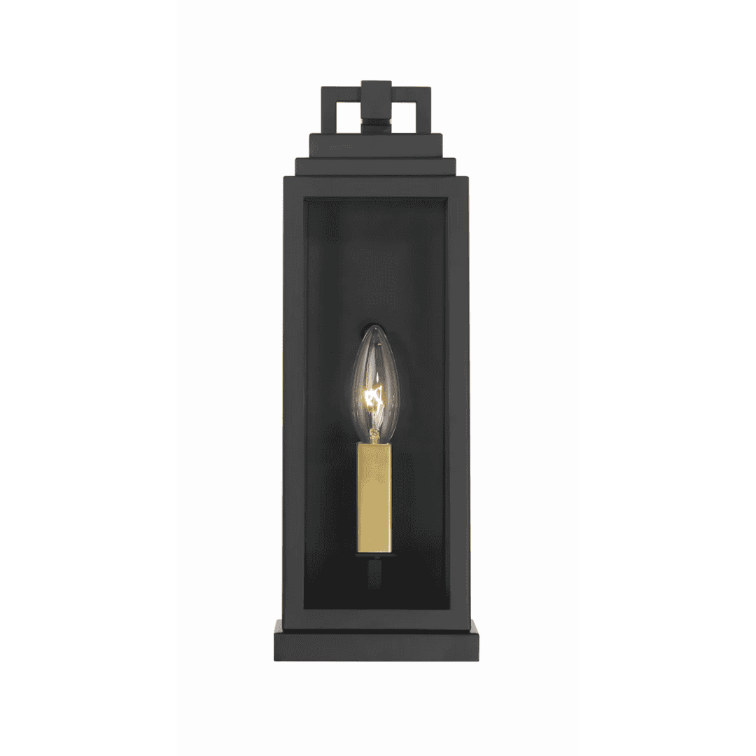 Outdoor Landscape Lighting LED 12V Low Voltage Aspen 1 Light Outdoor Sconce 5"x14" Stainless Steel and Clear Glass Matte Black Finish 120V 1 E12 Candelabra Base LED Bulb Socket for Patio, Garden, Exterior Walls