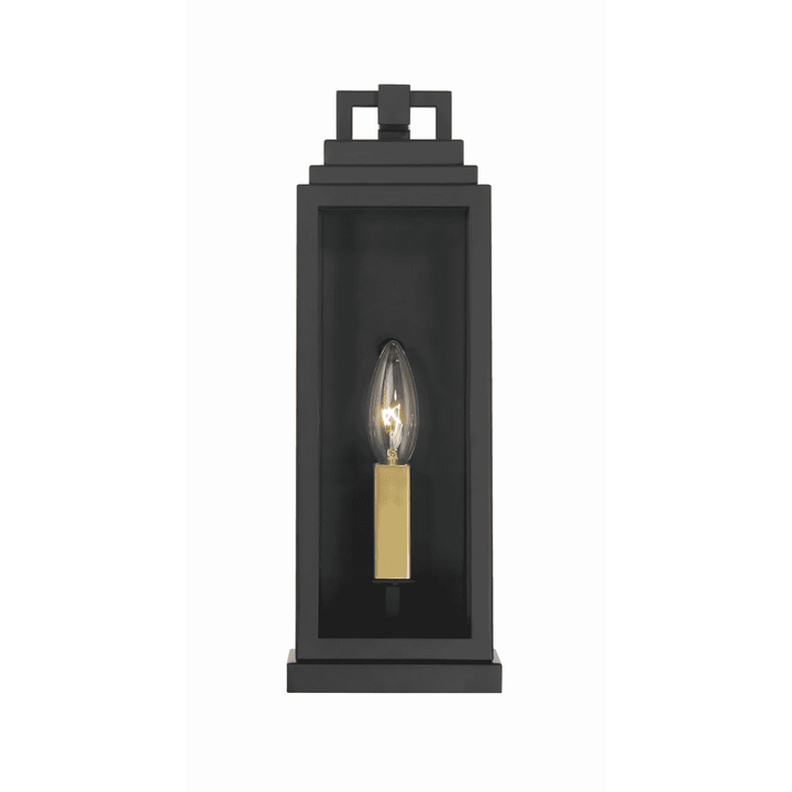Outdoor Landscape Lighting LED 12V Low Voltage Aspen 1 Light Outdoor Sconce 5"x14" Stainless Steel and Clear Glass Matte Black Finish 120V 1 E12 Candelabra Base LED Bulb Socket for Patio, Garden, Exterior Walls