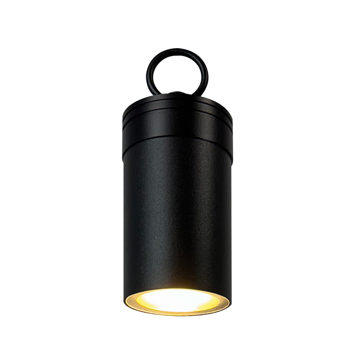 Outdoor Landscape Lighting LED 12V Low Voltage CD90 Cast Aluminum Hanging Light | 6W 3000K Warm White Integrated LED 12V Low Voltage Landscape Light