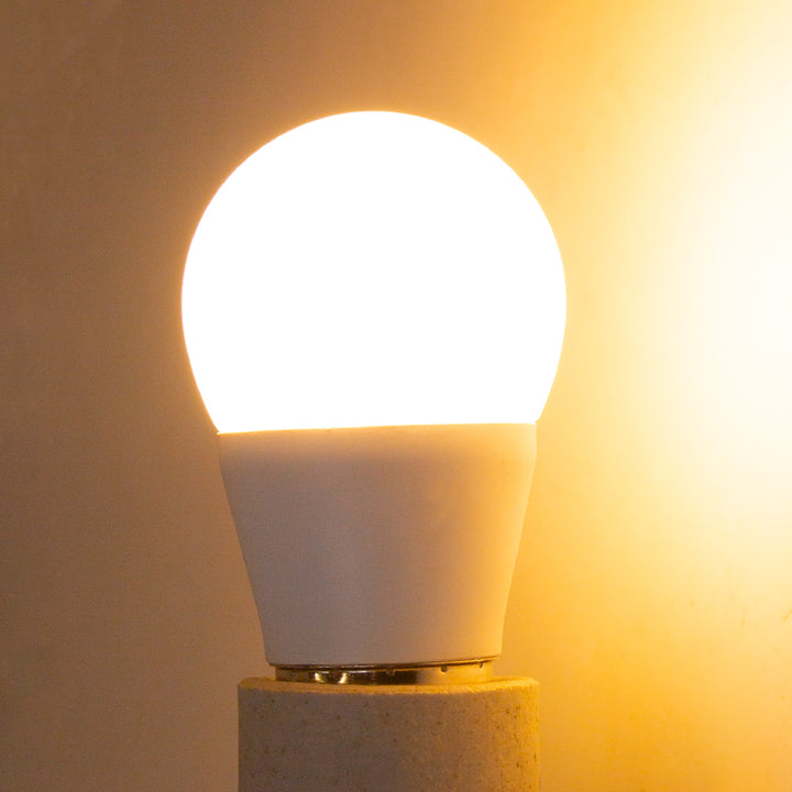 Outdoor Landscape Lighting LED 12V Low Voltage E27 6W LED 12V Low Voltage Bulbs Non-Dimmable Energy Saving Light Bulb