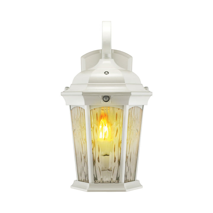 Outdoor Landscape Lighting LED 12V Low Voltage Aluminum LED Wall Flame Lantern with Water Glass 12.5W 1200lm 3000K with Flame Bulb Effect Fixture with Photocell and Motion Sensor Integrated LED Line Voltage 120V AC IP65 Waterproof