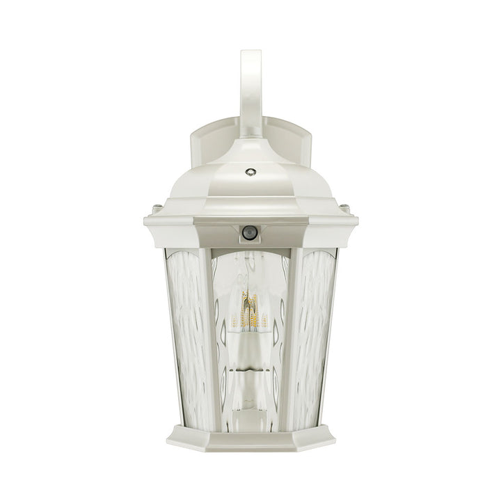 Outdoor Landscape Lighting LED 12V Low Voltage Aluminum LED Wall Flame Lantern with Water Glass 12.5W 1200lm 3000K with Flame Bulb Effect Fixture with Photocell and Motion Sensor Integrated LED Line Voltage 120V AC IP65 Waterproof