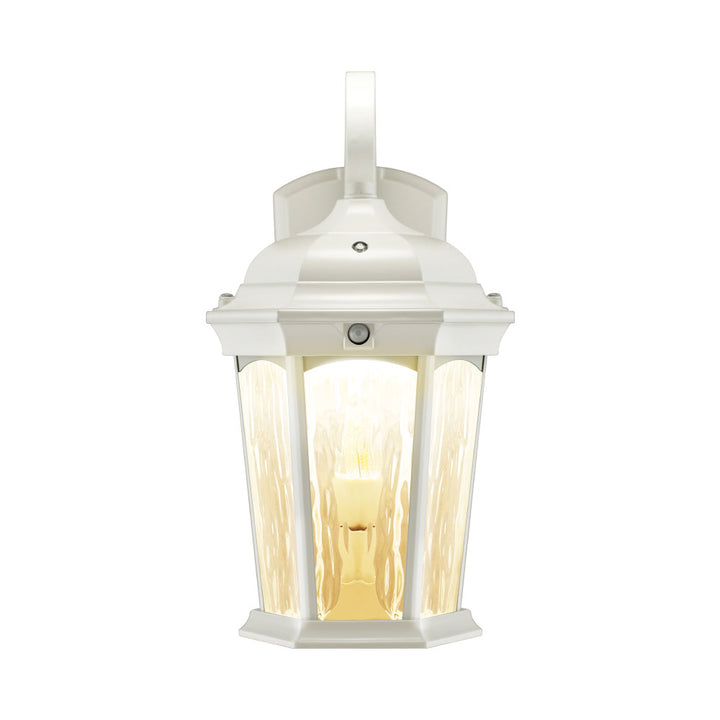 Outdoor Landscape Lighting LED 12V Low Voltage Aluminum LED Wall Flame Lantern with Water Glass 12.5W 1200lm 3000K with Flame Bulb Effect Fixture with Photocell and Motion Sensor Integrated LED Line Voltage 120V AC IP65 Waterproof