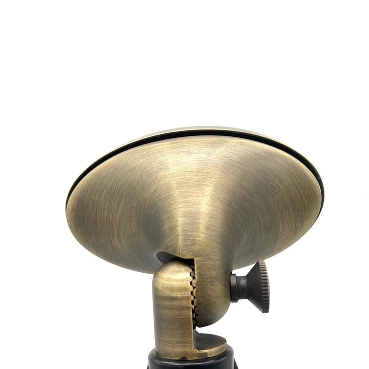 Outdoor Landscape Lighting LED 12V Low Voltage FLBP04 Tulay Antique Brass Oval Floodlight Low Voltage Landscape Lighting
