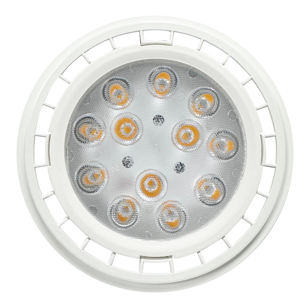 Outdoor Landscape Lighting LED 12V Low Voltage PAR36 12V Low Voltage AC/DC 12W 60° Outdoor Landscape LED Bulbs Waterproof Floodlight Fixture