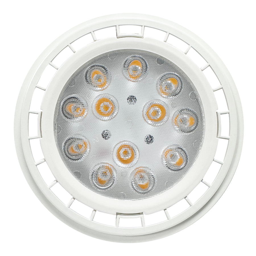 Outdoor Landscape Lighting LED 12V Low Voltage PAR36 12V Low Voltage AC/DC 12W 60° Outdoor Landscape LED Bulbs Waterproof Floodlight Fixture