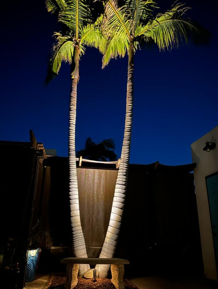 Outdoor Landscape Lighting LED 12V Low Voltage SPBP05 Stelvio Black Brass Spotlight Low Voltage Landscape Lighting 12V
