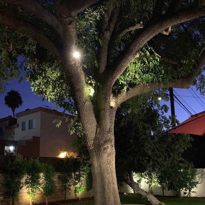 Outdoor Landscape Lighting LED 12V Low Voltage CD90 4x/8x/12x Package AC12V Low Voltage 3000K Warm White Integrated LED Philips Bulb Cylinder Pendant Light Hanging Spotlight