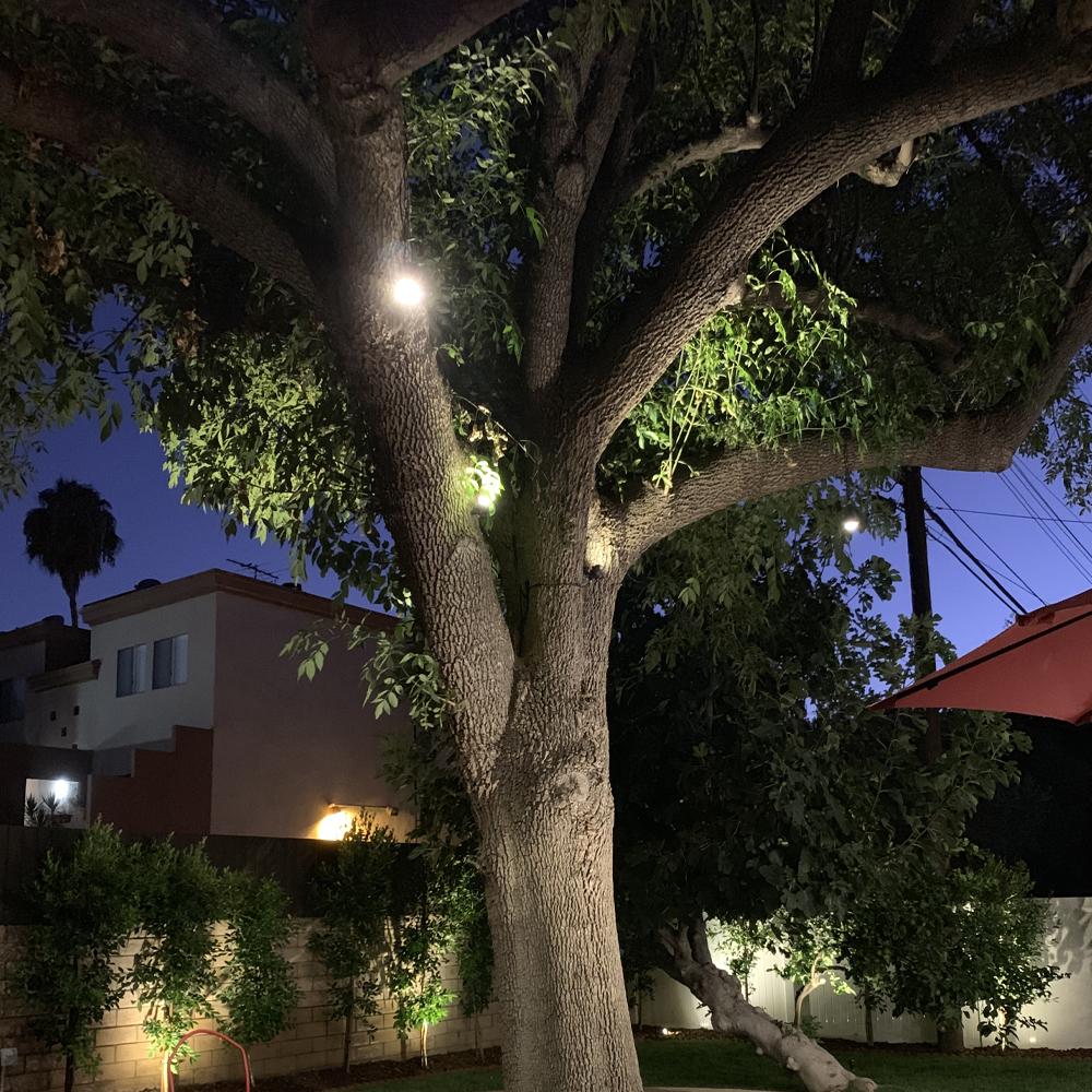 Outdoor Landscape Lighting LED 12V Low Voltage HLB01 Cast Brass Hanging Light | Lamp Ready 12V Low Voltage Landscape Light