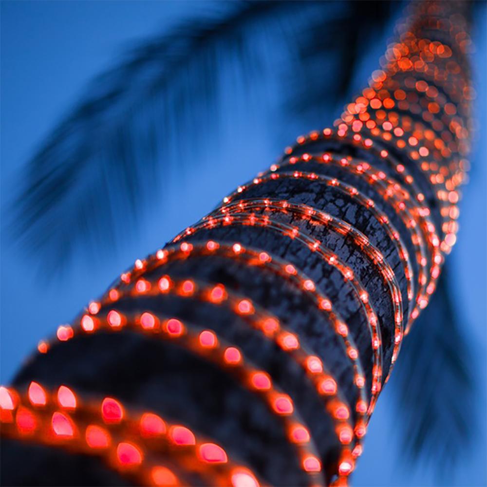 Outdoor Landscape Lighting LED 12V Low Voltage RL100 LED DC12V Low Voltage Rope Lights Outdoor IP65 3000K, 5000K, Multi Color RGB, Pink, Purple, Red, Yellow, Blue, Green (AC Converter Available)
