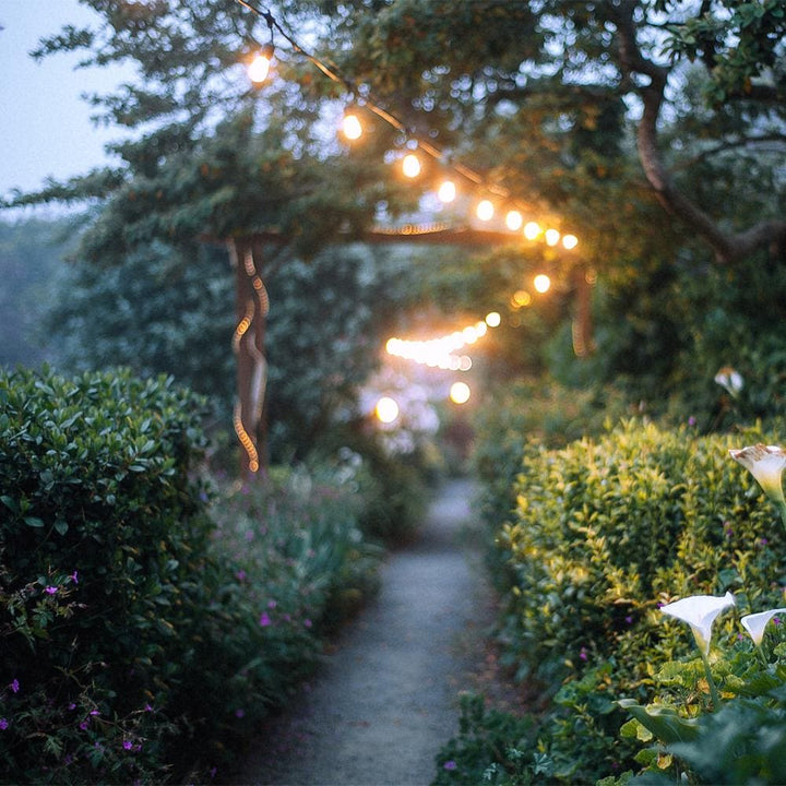 Outdoor Landscape Lighting LED 12V Low Voltage Brilliance SLB101 LED Line Voltage Bistro String Lights 48 FT Outdoor Weatherproof 120VAC 24 S14 2.5W, 2700K Edison Bulbs, 2-Way Mounting Holes