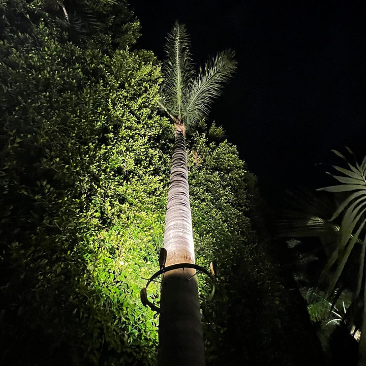 Outdoor Landscape Lighting LED 12V Low Voltage TRA01 Palm Tree Mounting Ring Light Bracket Landscape Lighting Accessory Light Fixture Mount