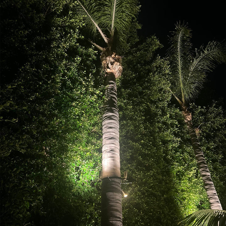 Outdoor Landscape Lighting LED 12V Low Voltage TRA01 Palm Tree Mounting Ring Light Bracket Landscape Lighting Accessory Light Fixture Mount