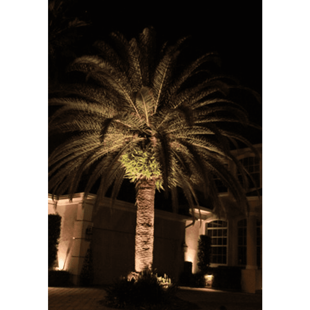 Outdoor Landscape Lighting LED 12V Low Voltage CD12 4x/8x/12x Package 12W 3000K Warm White LED Outdoor Aluminum Spotlight Directional Narrow Beam Angle Lighting