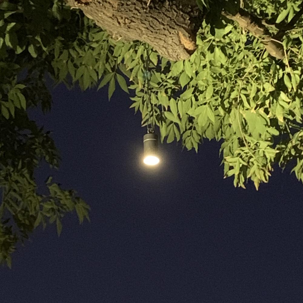 Outdoor Landscape Lighting LED 12V Low Voltage HLB01 Cast Brass Hanging Light | Lamp Ready 12V Low Voltage Landscape Light