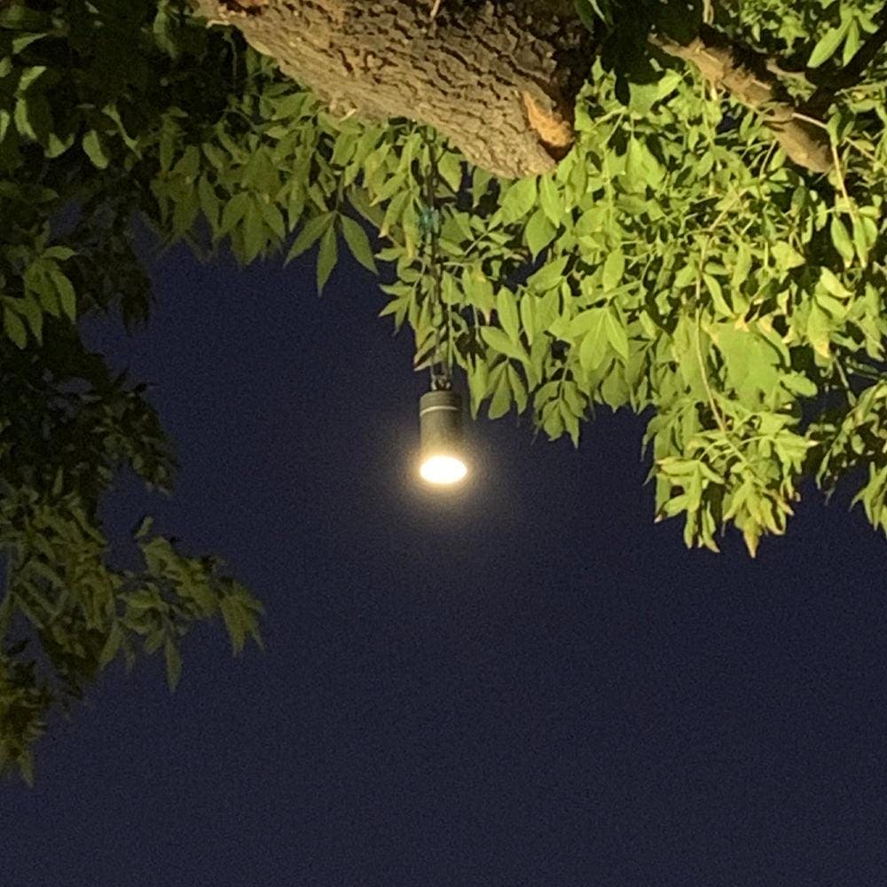 Outdoor Landscape Lighting LED 12V Low Voltage CD90 4x/8x/12x Package AC12V Low Voltage 3000K Warm White Integrated LED Philips Bulb Cylinder Pendant Light Hanging Spotlight