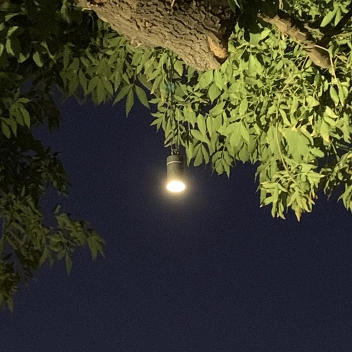 Outdoor Landscape Lighting LED 12V Low Voltage CD90 Cast Aluminum Hanging Light | 6W 3000K Warm White Integrated LED 12V Low Voltage Landscape Light